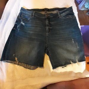 Judy Blue Denim Distressed Shorts 3XL